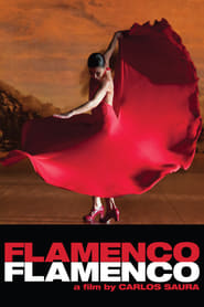 Assistir Filme Flamenco Flamenco Online Gratis em HD