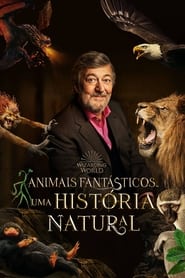 Assistir Filme Animais Fantásticos Uma História Natural Online Gratis em HD
