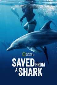 Assistir Filme Resgatados dos Tubarões Online Gratis em HD