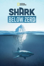 Assistir Filme Shark Below Zero Online Gratis em HD