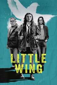 Assistir Filme Little Wing Online Gratis em HD