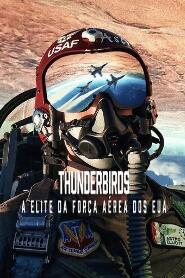 Assistir Filme Thunderbirds: A Elite da Força Aérea dos EUA Online Gratis em HD